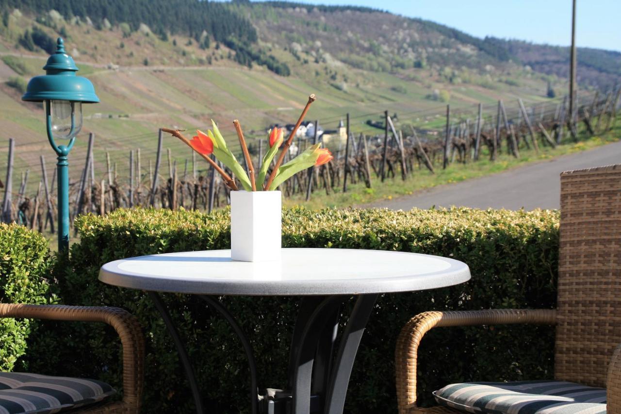 Weingut-Brennerei-Gaestehaus Emil Dauns رايل المظهر الخارجي الصورة