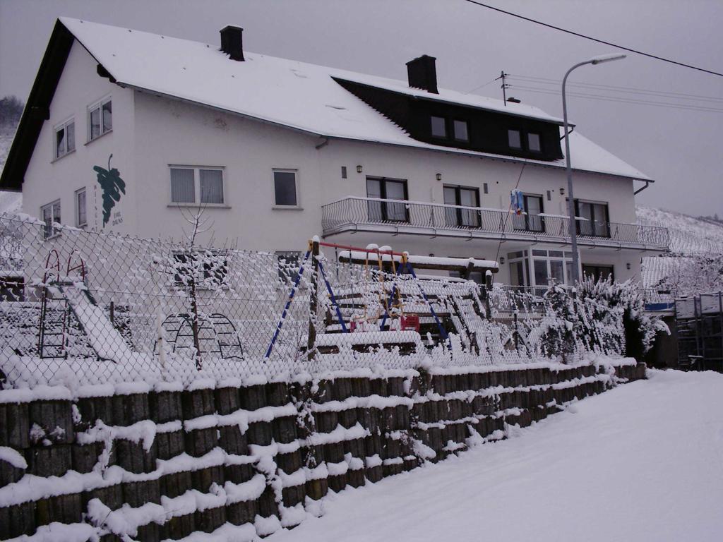 Weingut-Brennerei-Gaestehaus Emil Dauns رايل المظهر الخارجي الصورة