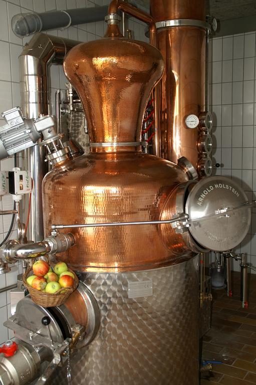 Weingut-Brennerei-Gaestehaus Emil Dauns رايل المظهر الخارجي الصورة