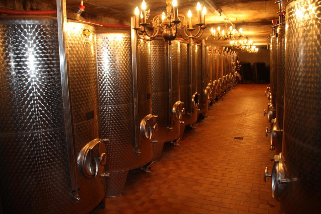 Weingut-Brennerei-Gaestehaus Emil Dauns رايل المظهر الخارجي الصورة