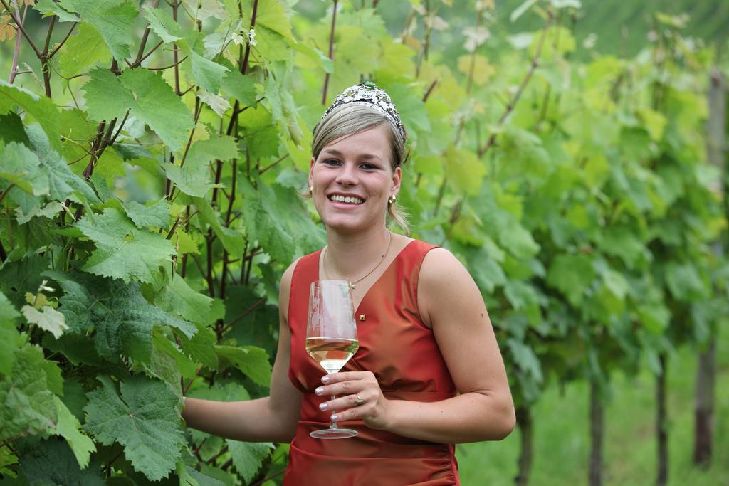 Weingut-Brennerei-Gaestehaus Emil Dauns رايل المظهر الخارجي الصورة