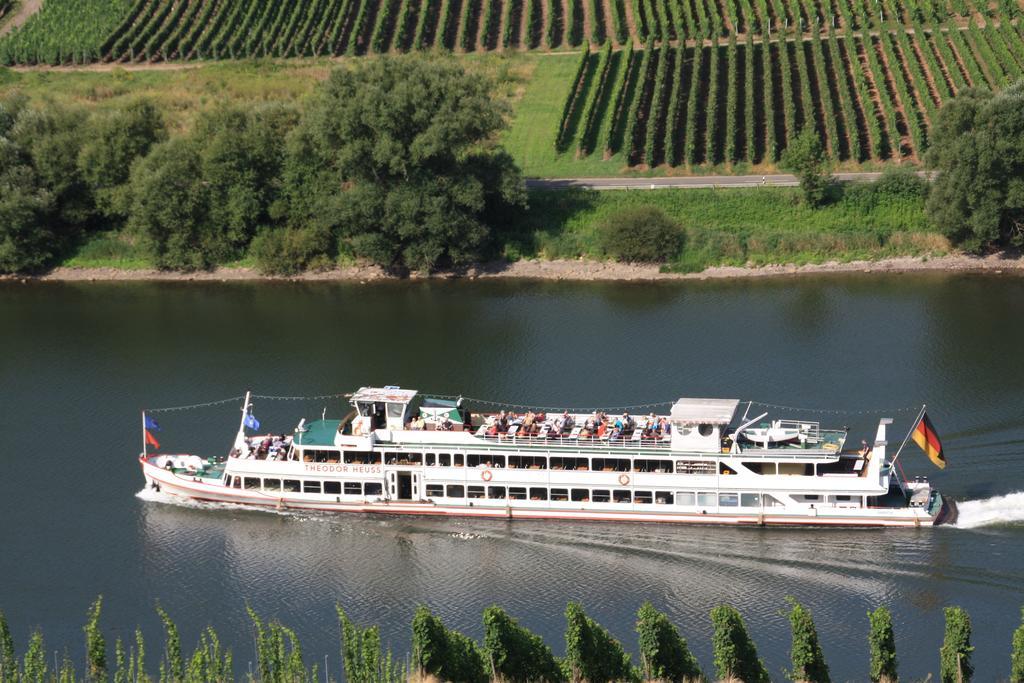 Weingut-Brennerei-Gaestehaus Emil Dauns رايل المظهر الخارجي الصورة