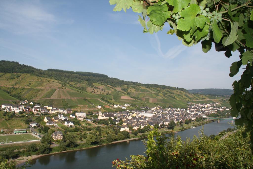Weingut-Brennerei-Gaestehaus Emil Dauns رايل المظهر الخارجي الصورة