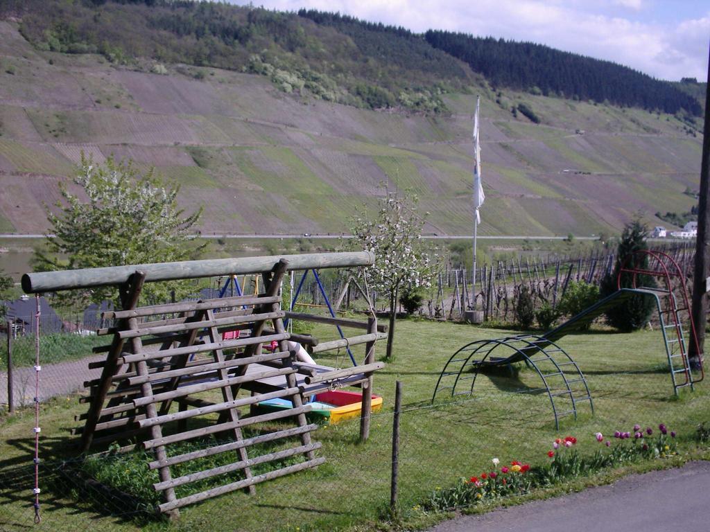 Weingut-Brennerei-Gaestehaus Emil Dauns رايل المظهر الخارجي الصورة