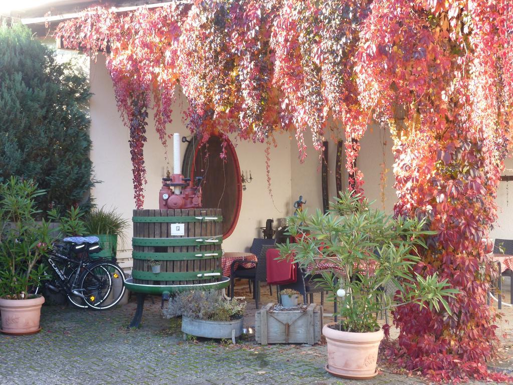 Weingut-Brennerei-Gaestehaus Emil Dauns رايل المظهر الخارجي الصورة
