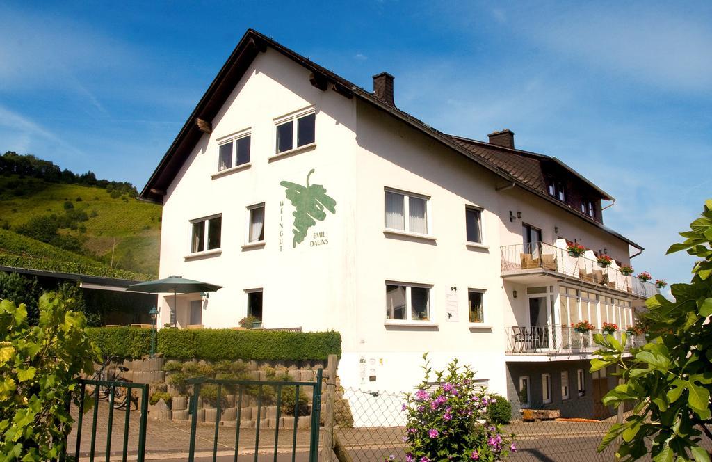 Weingut-Brennerei-Gaestehaus Emil Dauns رايل المظهر الخارجي الصورة