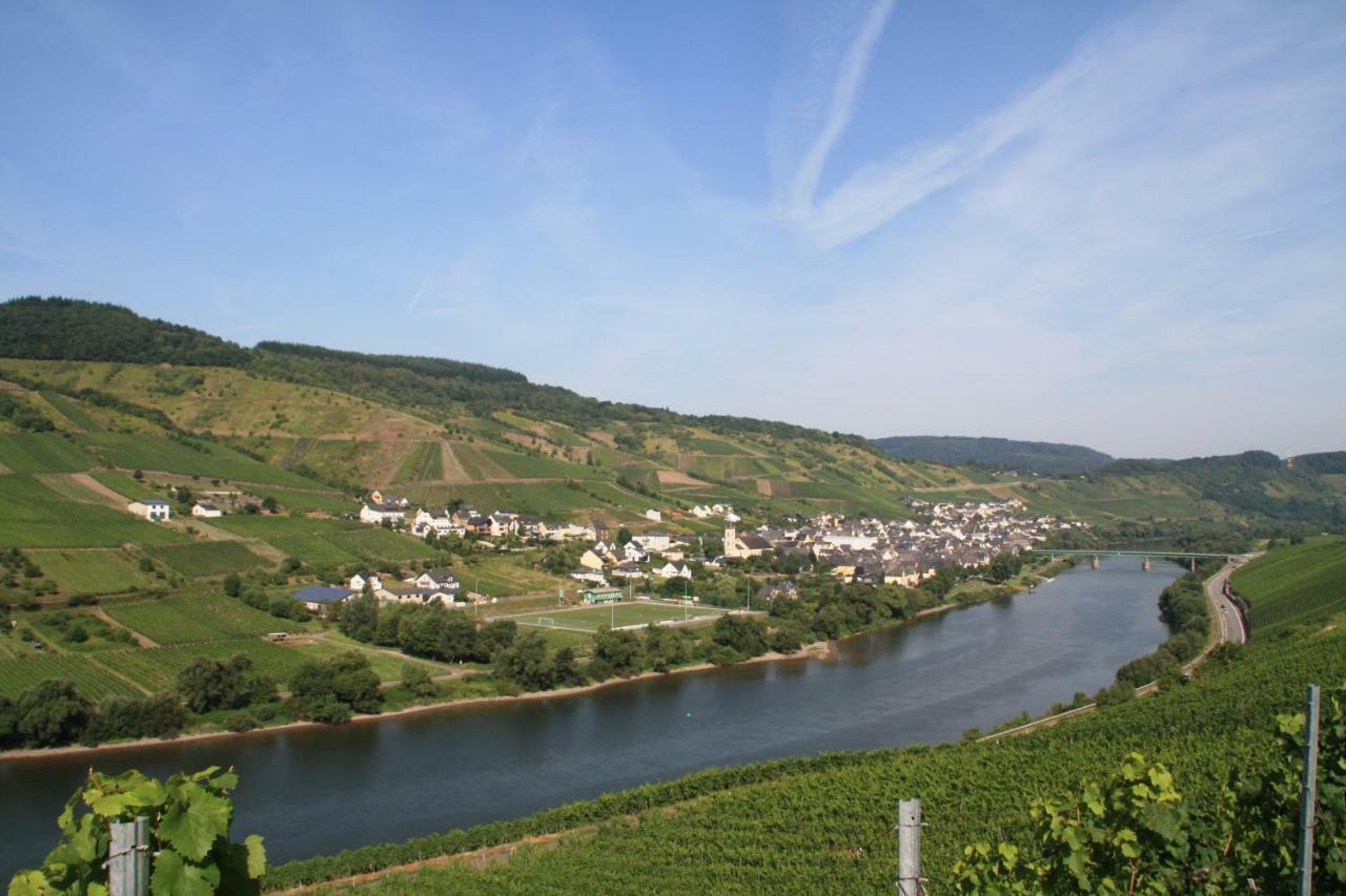 Weingut-Brennerei-Gaestehaus Emil Dauns رايل المظهر الخارجي الصورة
