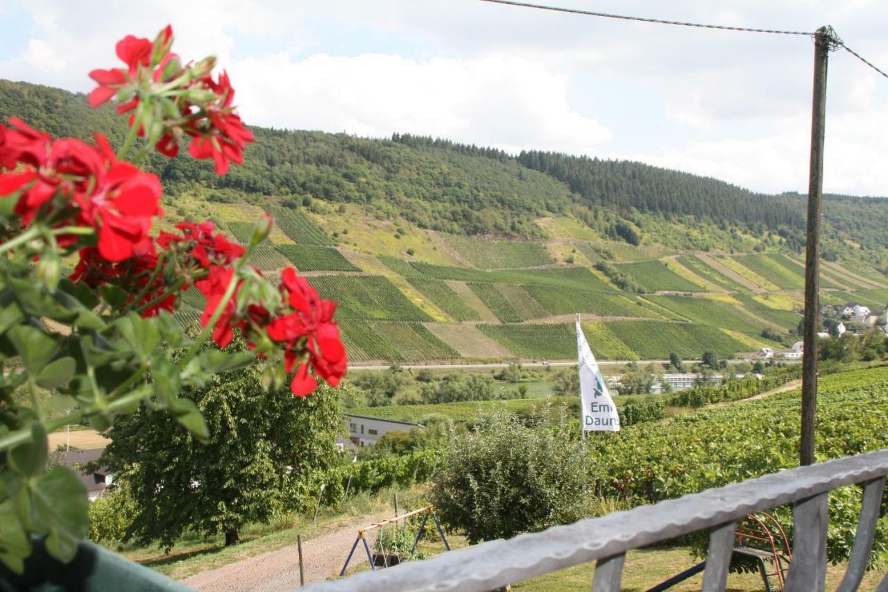 Weingut-Brennerei-Gaestehaus Emil Dauns رايل المظهر الخارجي الصورة