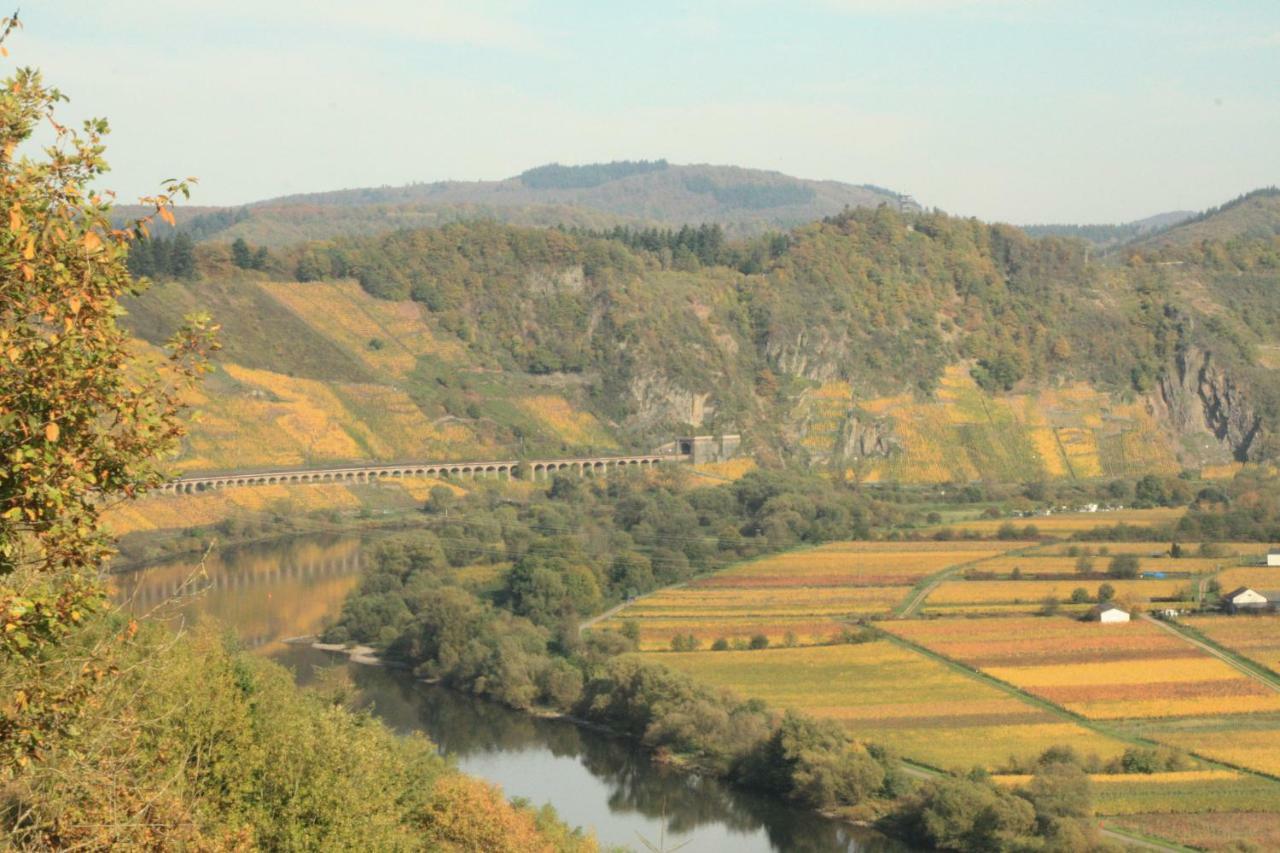 Weingut-Brennerei-Gaestehaus Emil Dauns رايل المظهر الخارجي الصورة